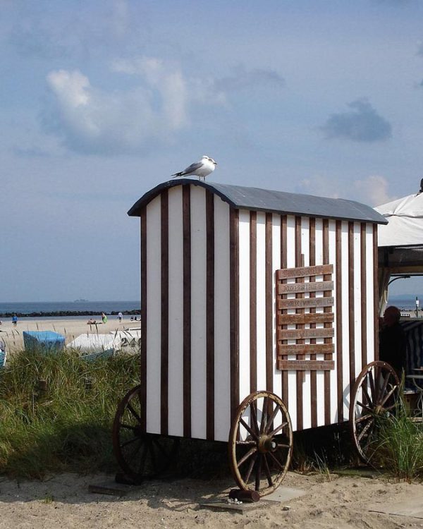 Strandwagen in Damp