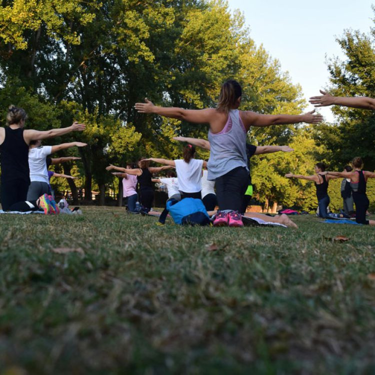 Eine Gruppe von Menschen die auf einer Grünen Wiese Yoga machen