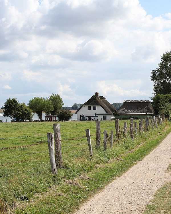 Blick über Felder auf die Schlei